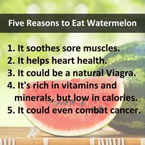 water melon viag tw 10716