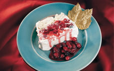 terrine-of-vanilla-ice-cream-with-merringue-and-cranberry-sauce