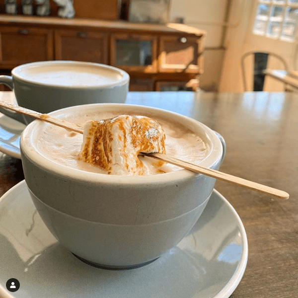 Screenshot_2020-07-05 #cocoa hashtag on Instagram • Photos and Videos