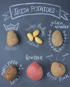 irish potatoes