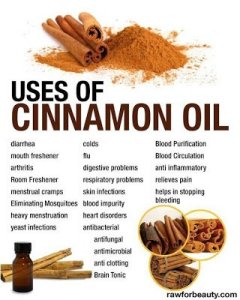 cinnamon oil